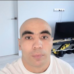 ���� ������, �������, 40 ��� - ��������� 5 �������� 2026