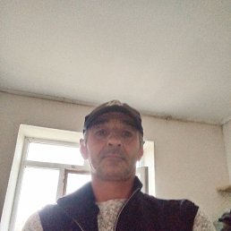 �����, ������, 46 ���