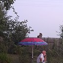 ���� ����, ������, 67 ��� - ��������� 14 ������� 2024 � ������ ���� ����������