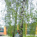  ,  , 42  -  18  2025