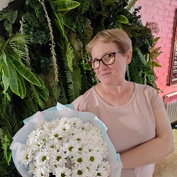 �����, �����������, 56 ���