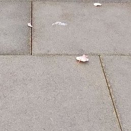 , , 22 
