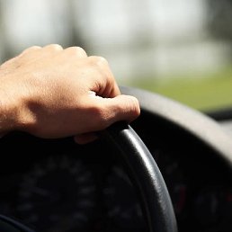 �������, ������, 35 ���