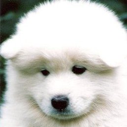 ���� Radik, ������������, 39 ��� - ��������� 21 ���� 2025