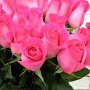 ���� ������, �������, 63 ���� - ��������� 11 ��� 2025