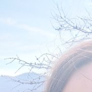 , 38 , 