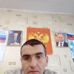 , 40, 