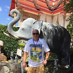 �������, �������, 56 ���