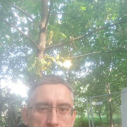 , 42, 
