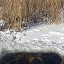 ���� ����, �����-���������, 51 ��� - ��������� 25 ������� 2025 � ������ ���� ����������