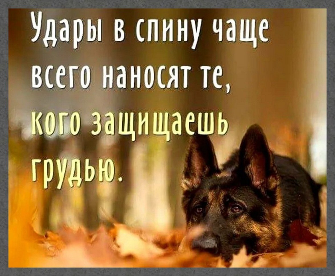 ☆������ �������☆ - 27 ��� 2025 � 20:37