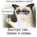 ���� ������, ������, 52 ���� - ��������� 2 �������� 2024 � ������ ������ ��������