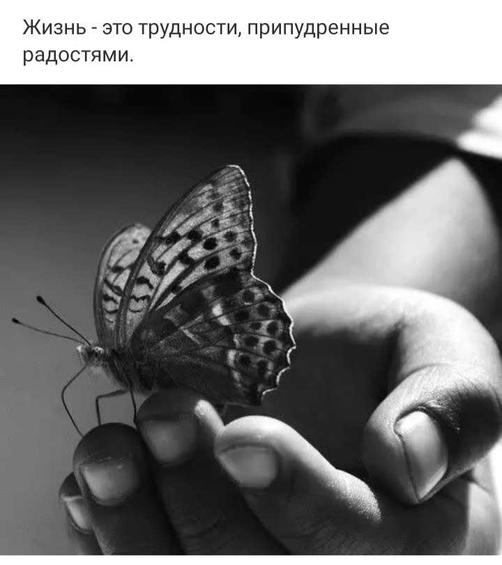 ***Victoria Viktorovna*** - 5  2024  00:44