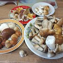 ���� �������, ������������, 51 ��� - ��������� 9 ������� 2024 � ������ ������������