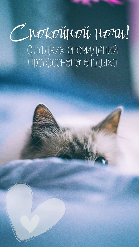   ,    . - 28  2024  21:07 - 2