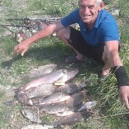 �����, 53 ����, �����������