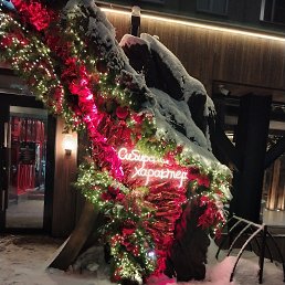 ���� ������, ������ - ��������� 2 ������ 2026