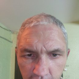 , 44 ,  