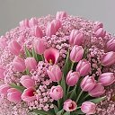 ���� �������, ���������� - ��������� 8 ����� 2026 � ������ ������ ��������