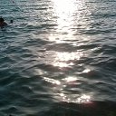 ���� �����, ����, 59 ��� - ��������� 7 ����� 2026 � ������ ���� ����������