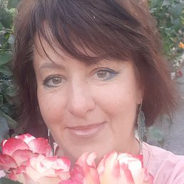 ����, ������, 58 ���