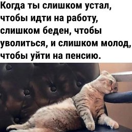 ���� ����, ������-��-����, 51 ��� - ��������� 22 ������� 2024