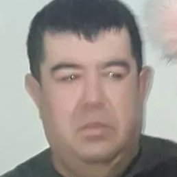 ����, ����������, 47 ���