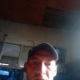 �������, ������, 49 ���