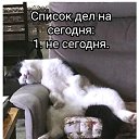 ���� ������ =^..^=, ������ - ��������� 15 ������� 2023 � ������ ������ ��������