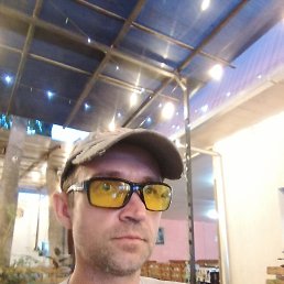 , 36, 