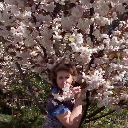 ���� ������, �������� - ��������� 31 ������� 2024