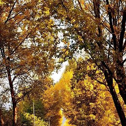 Ervand, ������, 31 ���