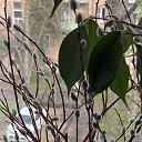 ���� ������, ���������, 57 ��� - ��������� 5 ������ 2026