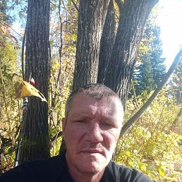 ���� ���������, �����������, 52 ���� - ��������� 9 ������ 2026