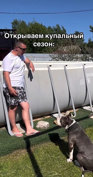 У Хэнка выходные интереснее, чем у меня! Собакен проживает лучшую жизнь! - 2