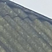 ��������, 39 ���, �������