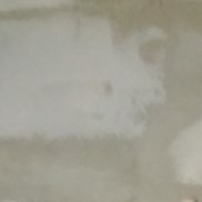 �������, 35 ���, ��������