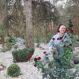 �����, ���������