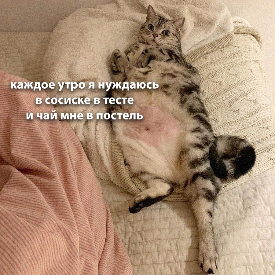 ��� �������� �������� - 13 ������� 2026 � 04:18