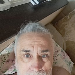 , 53, 