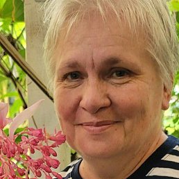 �������, ������, 64 ����