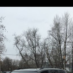 ���� ��������, �����, 39 ��� - ��������� 28 ������ 2026