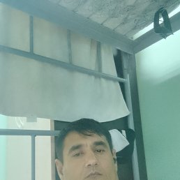 ���� ��������, �����������, 43 ���� - ��������� 11 ����� 2024