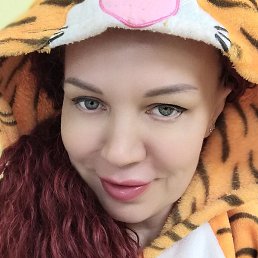 �����, ���������, 41 ���