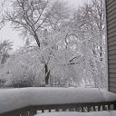 ���� Tina, ������� - ��������� 2 ������� 2026 � ������ ����� �� ������ ���໻