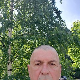 , 56 , -