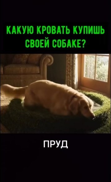 ����� ������� �������� ��� ����� ������?