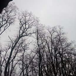 �����, ���������, 35 ���