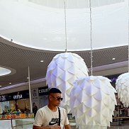 ���, 26 ���, ������