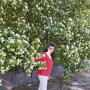 ���� �����, ���������, 56 ��� - ��������� 10 ��� 2026 � ������ ���� ����������